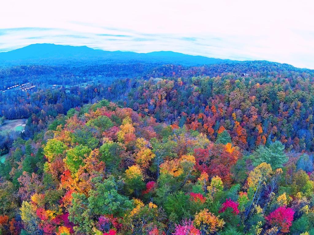 Deer Ridge Mountain Resort Pittman Center Eksteriør bilde